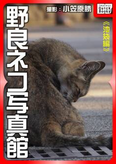 野良ネコ写真館【池袋編】