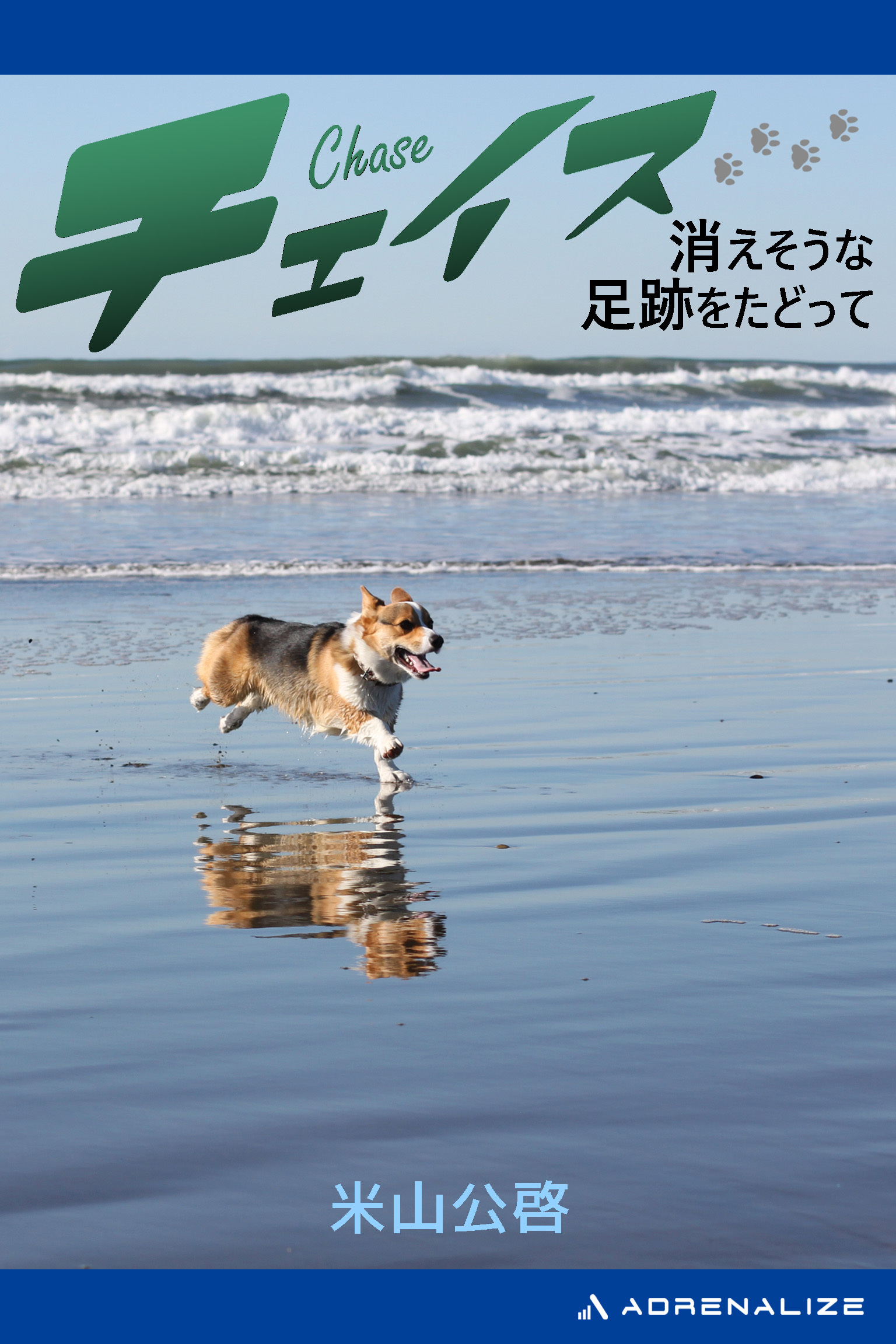 チェイス　消えそうな足跡をたどって