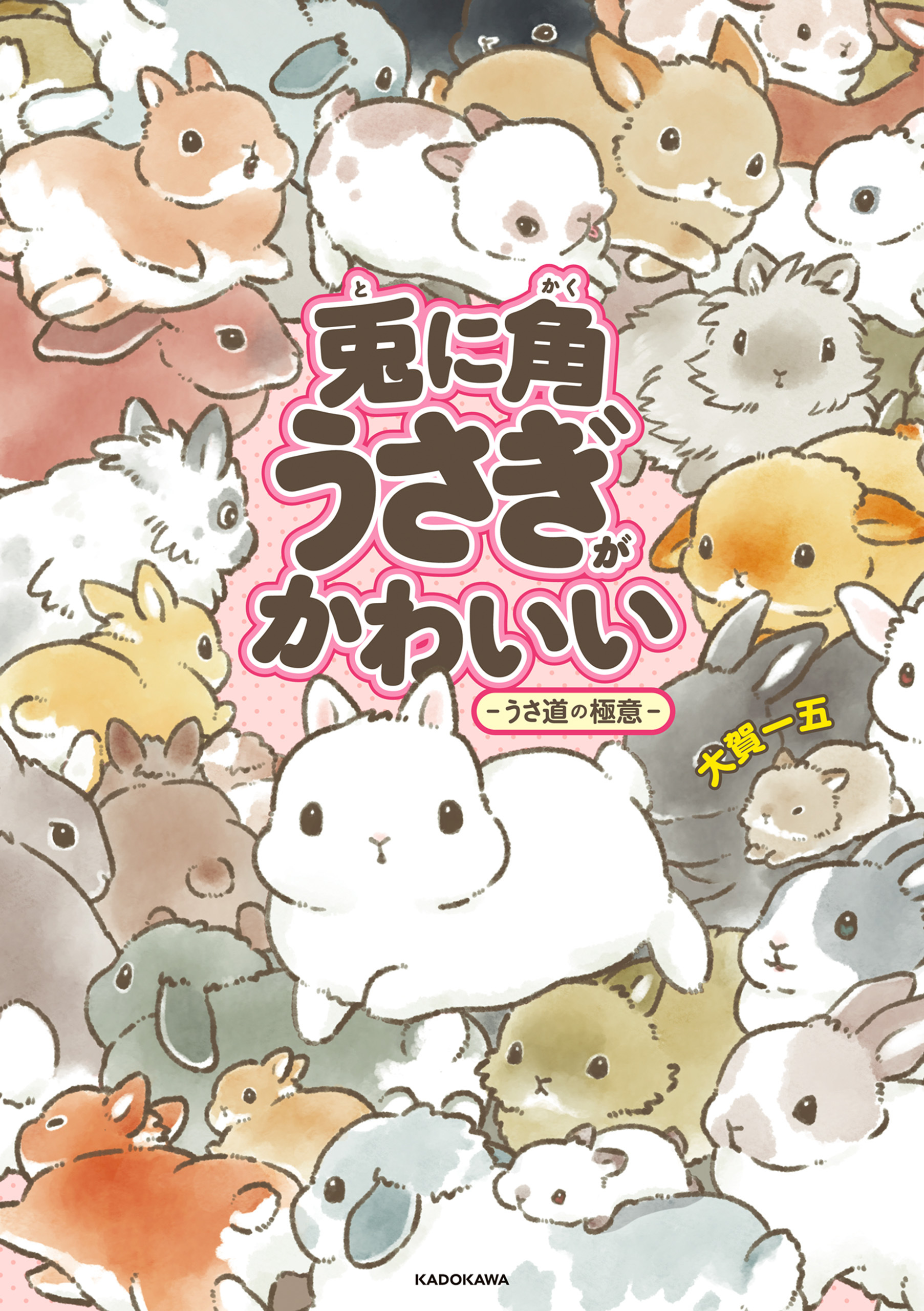 兎に角うさぎがかわいい 　－うさ道の極意－