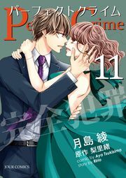 Perfect Crime ： 11