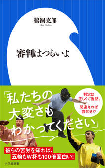 審判はつらいよ(小学館新書)