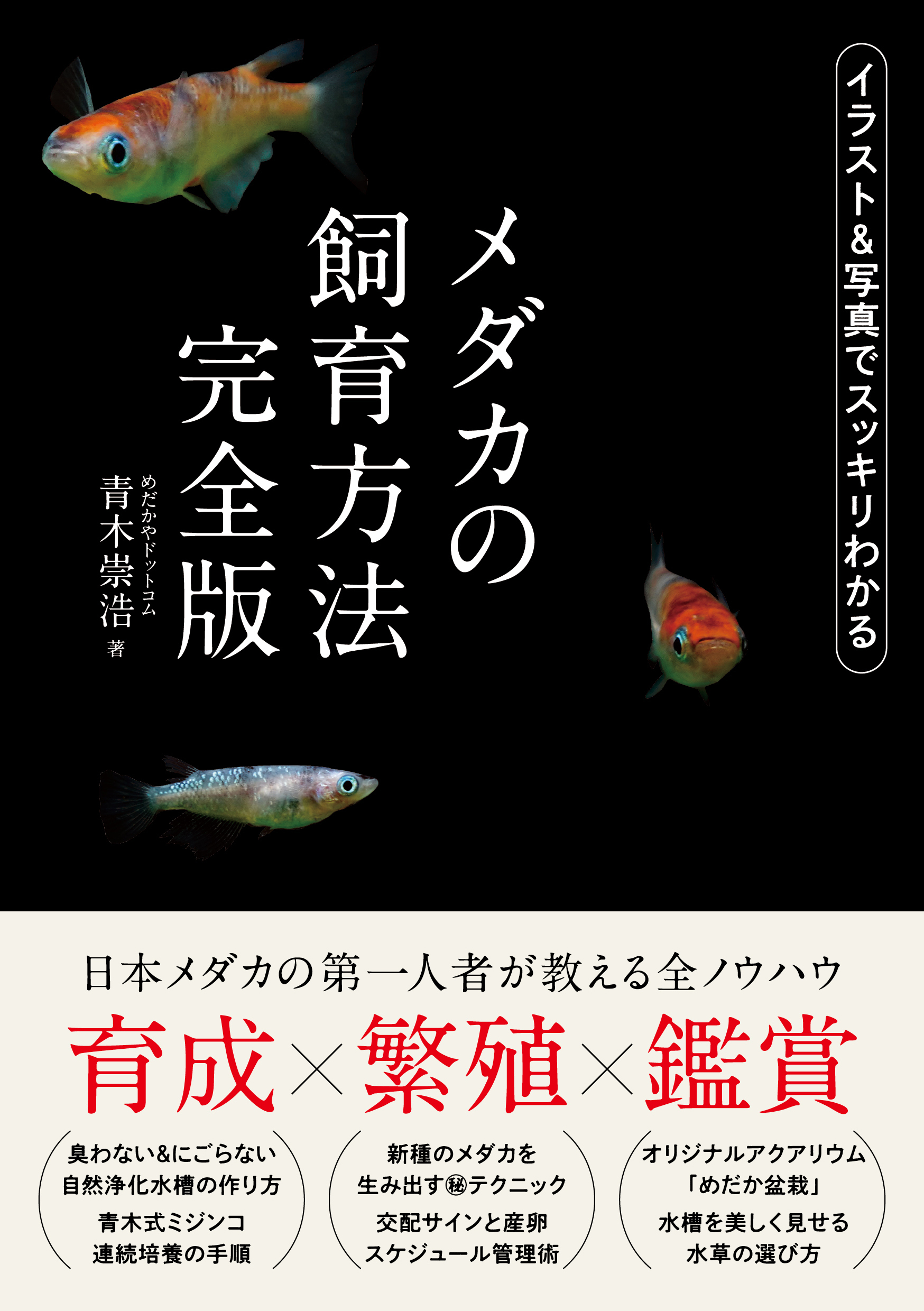 メダカの飼育方法 完全版