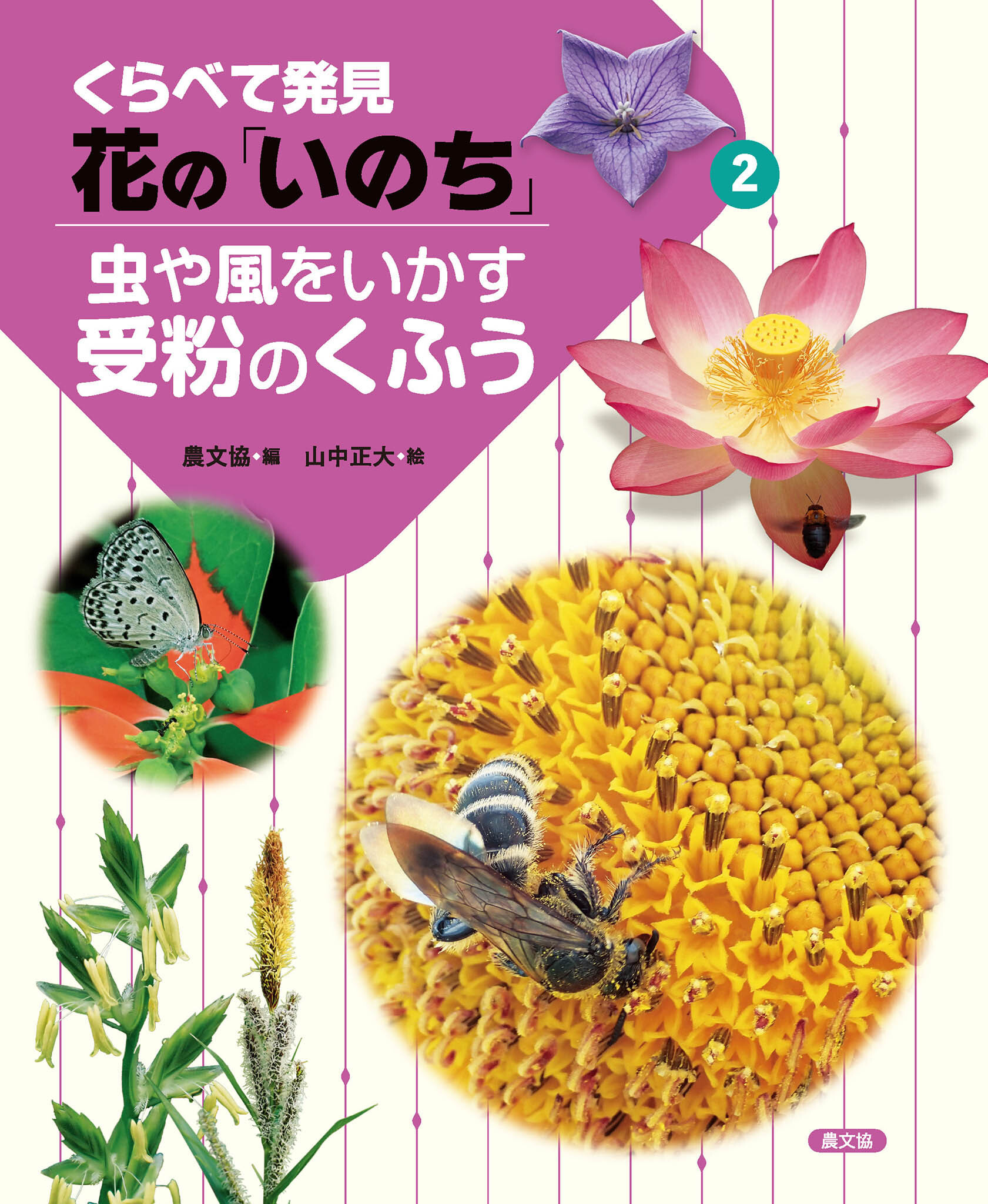 虫や風をいかす受粉のくふう