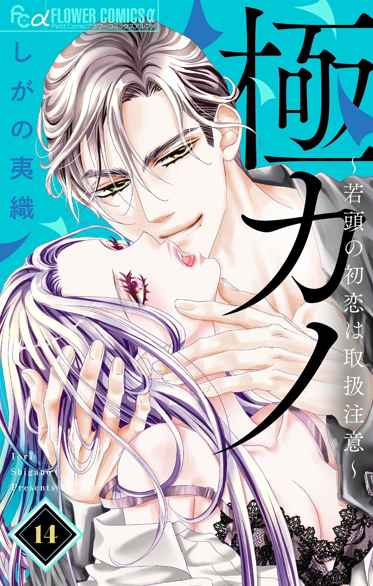 極カノ～若頭の初恋は取扱注意～【マイクロ】 14