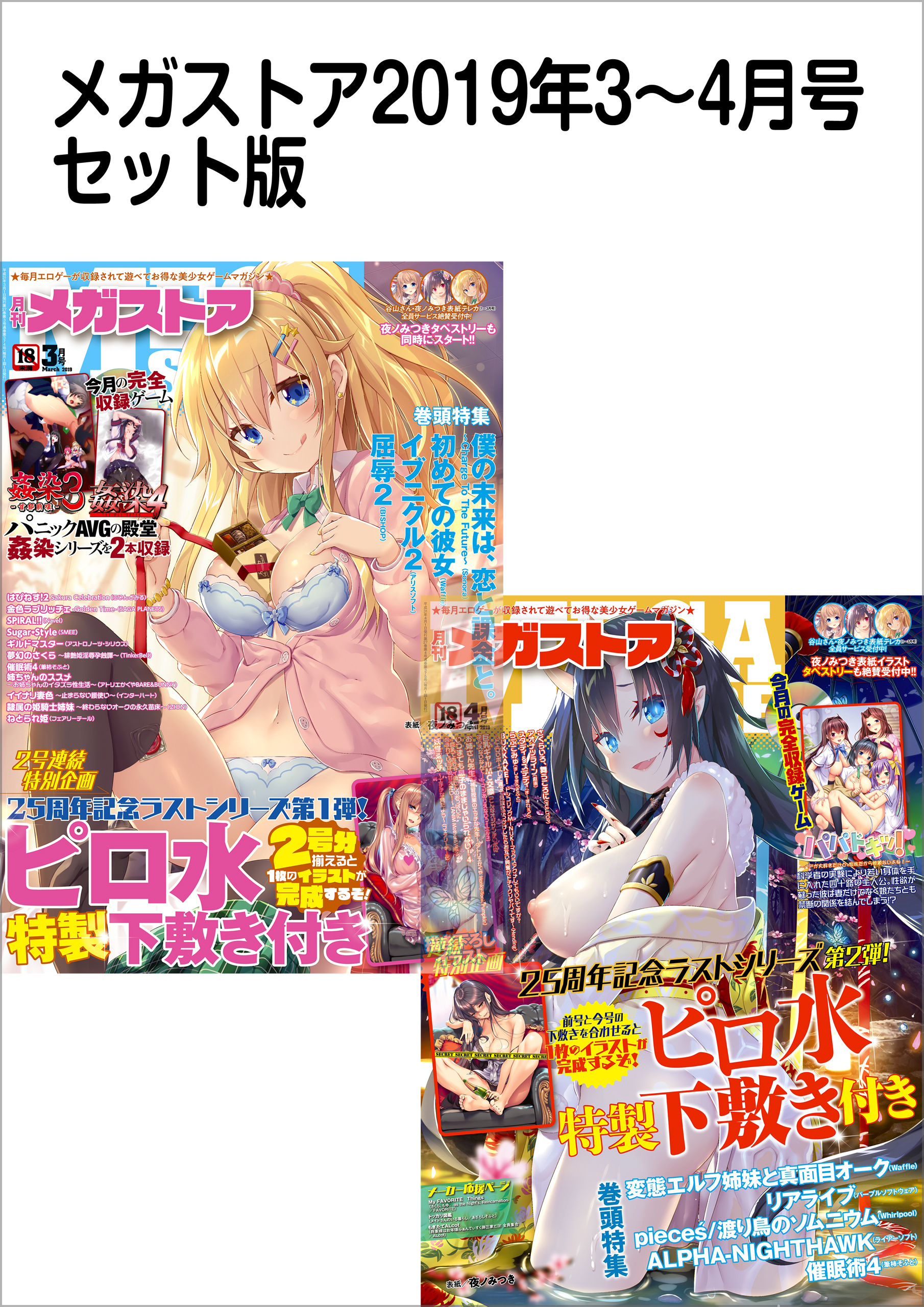 メガストアセット版2019年3-4月号