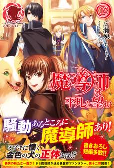 魔導師は平凡を望む 12