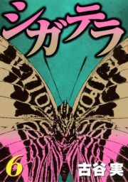シガテラ