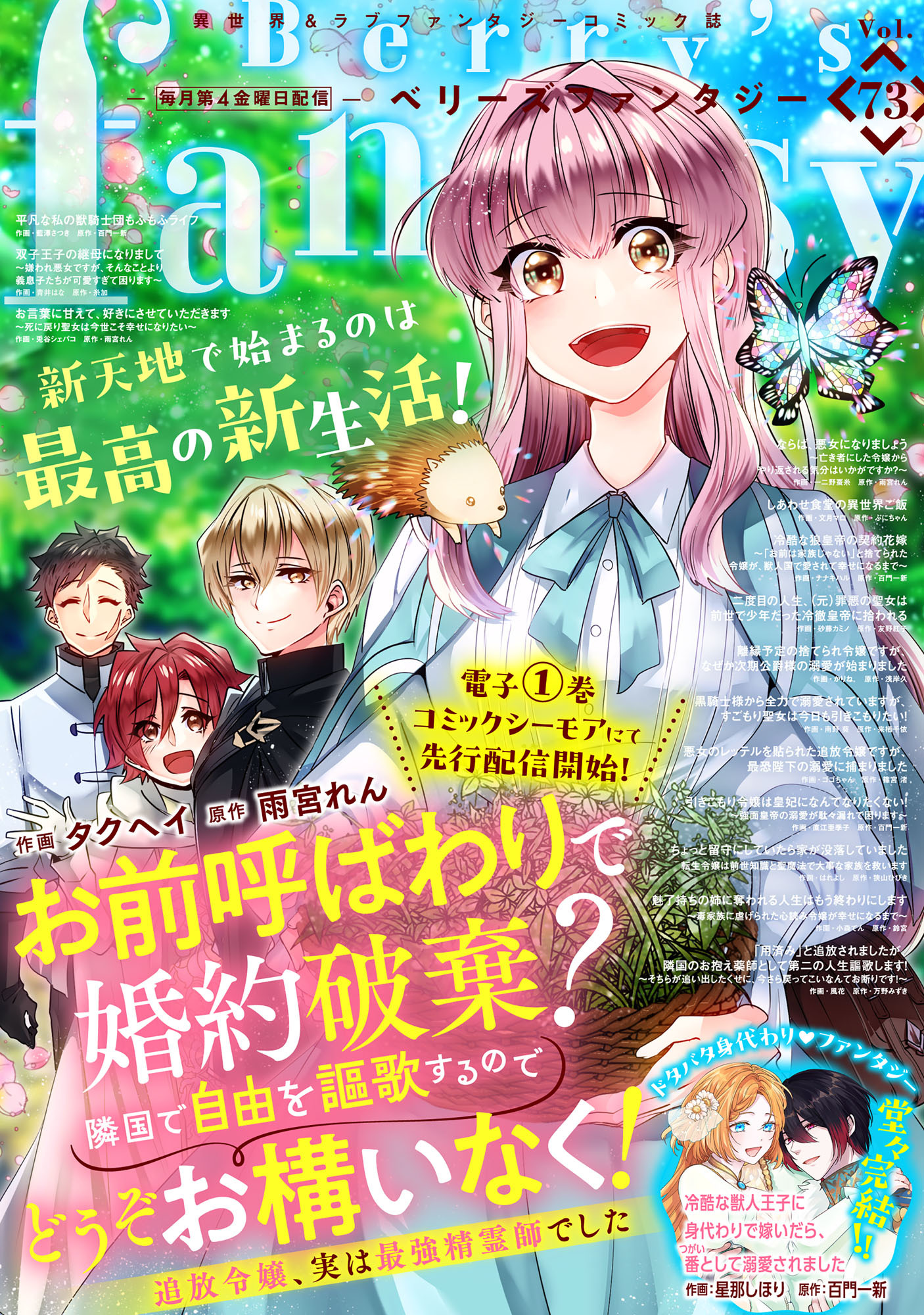 Berry's Fantasy vol.73