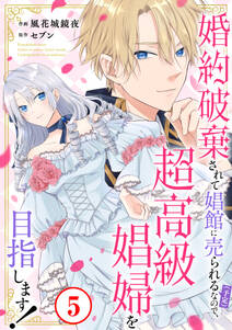 婚約破棄されて娼館に売られる(予定)なので、超高級娼婦を目指します!