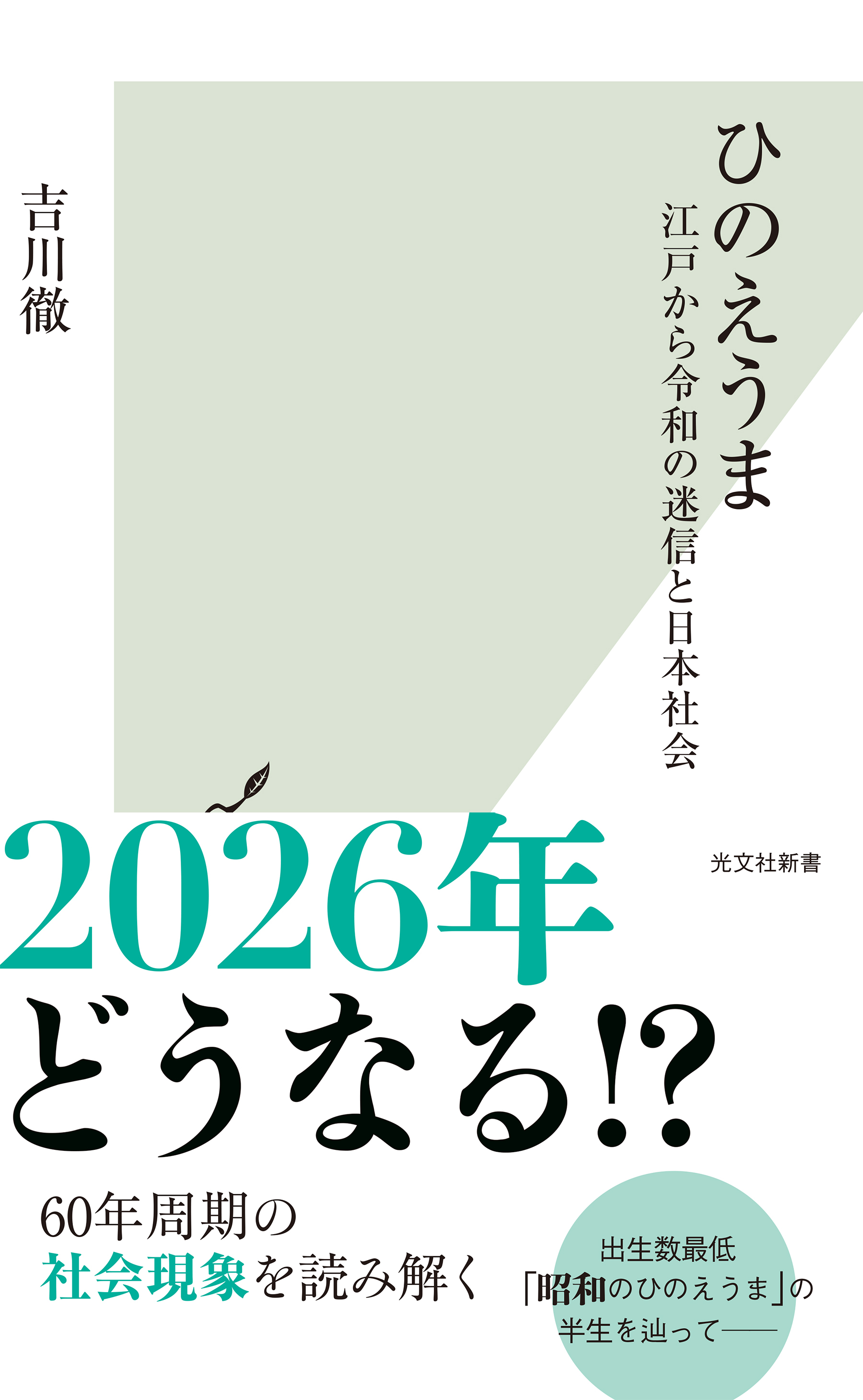 ひのえうま～江戸から令和の迷信と日本社会～