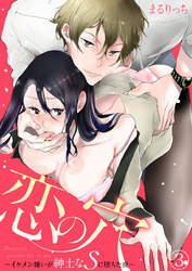 恋の穴 ～イケメン嫌いが紳士なＳに堕ちた夜～3