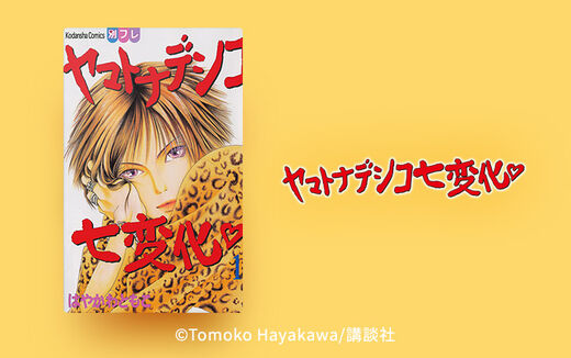 ヤマトナデシコ七変化 完全版