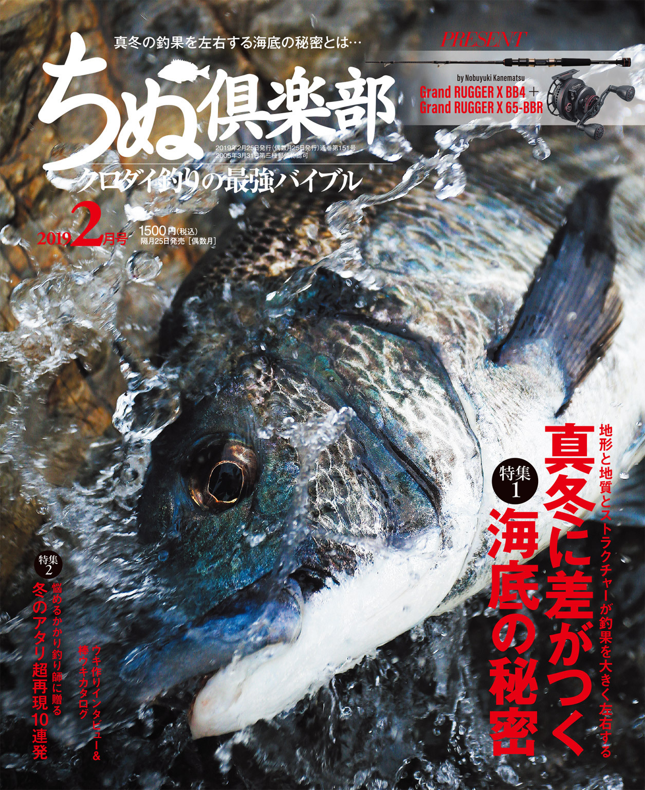 ちぬ倶楽部2019年2月号
