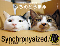 シンクロ姉妹猫 うちのとらまる