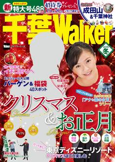 千葉Walker2015 冬
