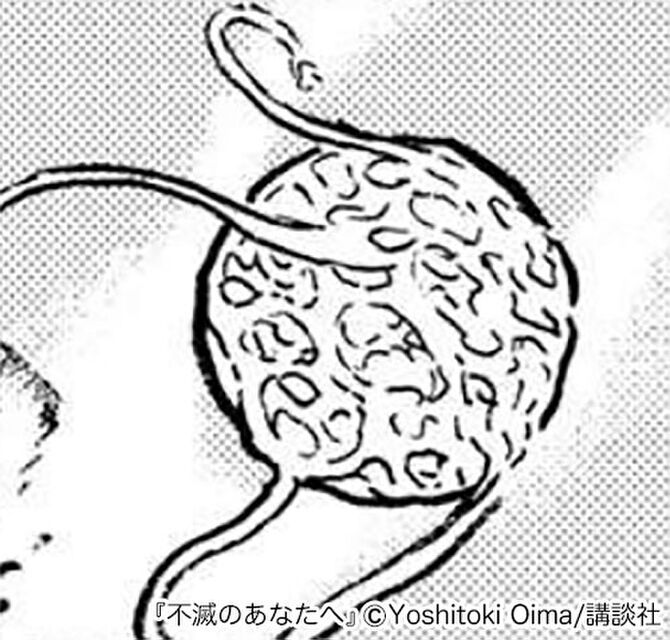 ネタバレ注意 不滅のあなたへ が最高 登場人物の魅力 見どころ レビューを紹介 Amebaマンガ 旧 読書のお時間です ネタバレ注意 不滅のあなたへ が最高 登場人物の魅力 見どころ レビューを紹介 Amebaマンガ 旧 読書のお時間です