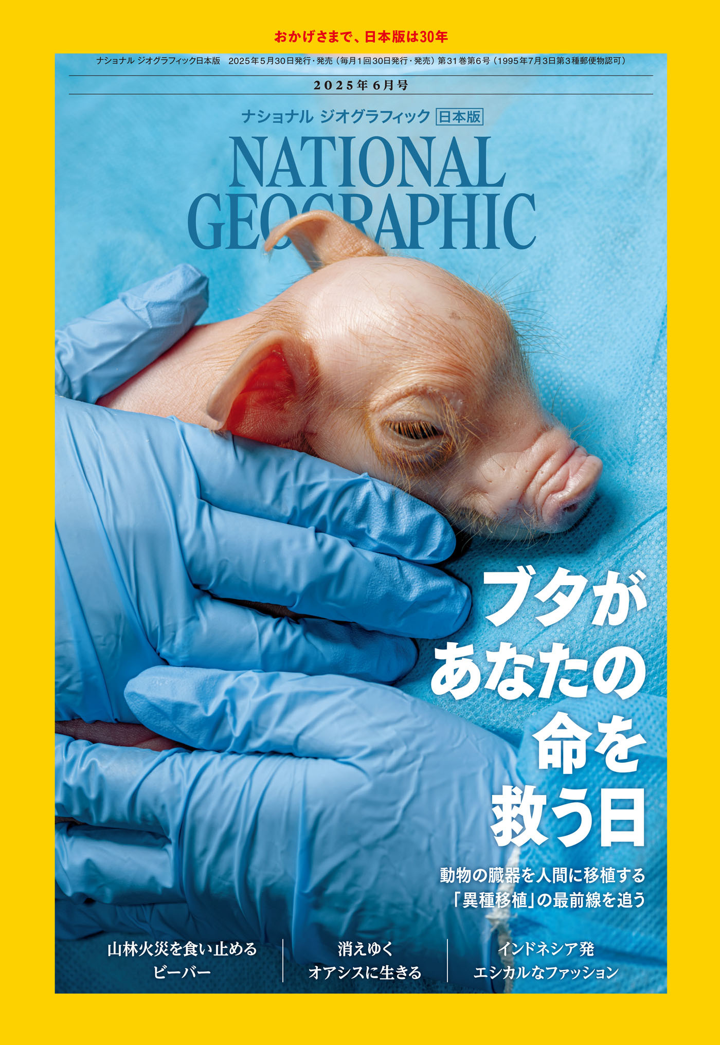 ナショナル ジオグラフィック日本版 2025年6月号 [雑誌]
