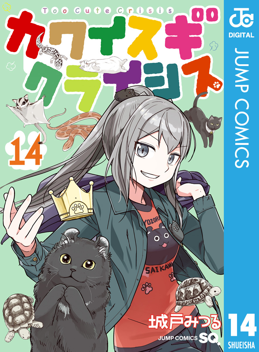 カワイスギクライシス 14