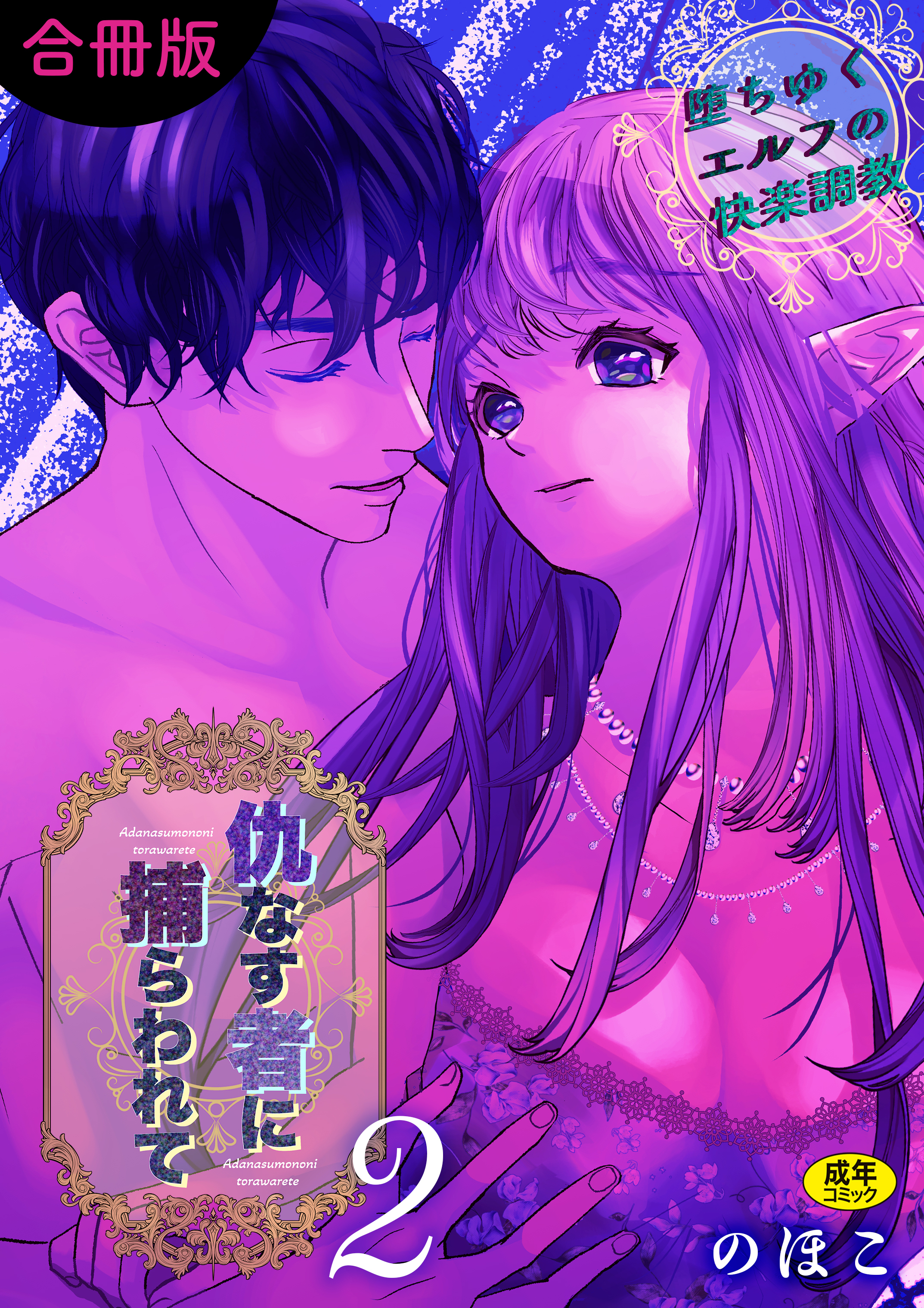 仇なす者に捕らわれて【合冊版】【18禁】