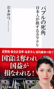 バブルの死角 日本人が損するカラクリ