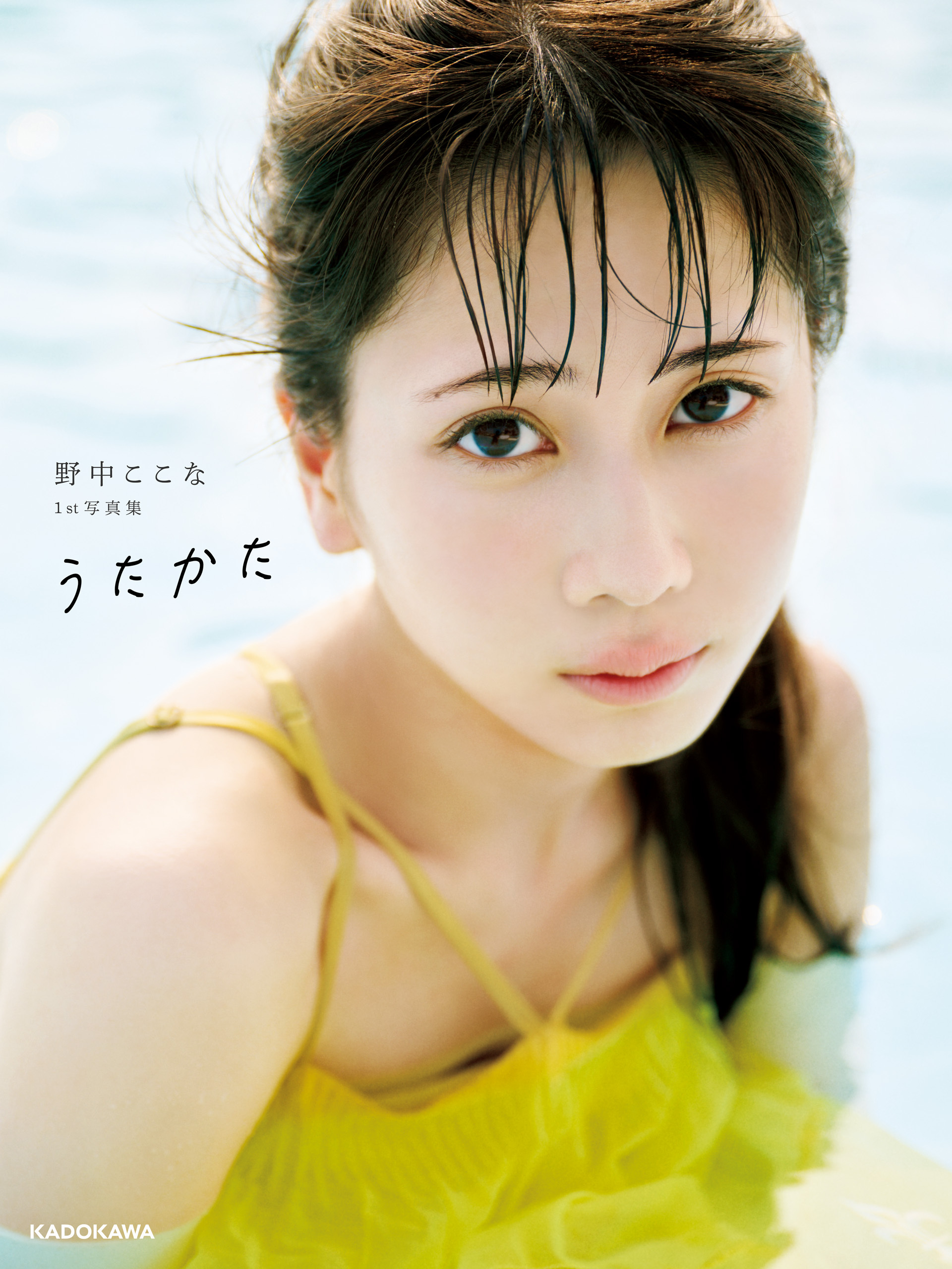 野中ここな 写真集