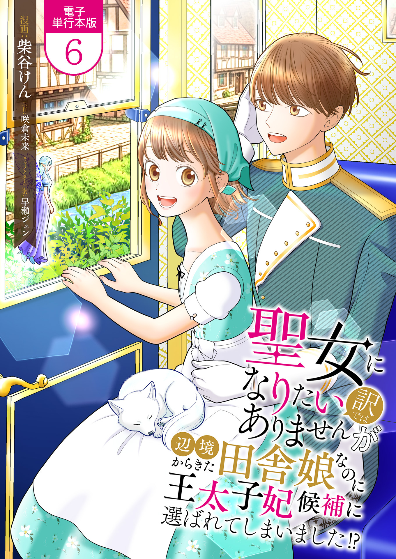 聖女になりたい訳ではありませんが　辺境からきた田舎娘なのに王太子妃候補に選ばれてしまいました!?【電子単行本版】 / 6