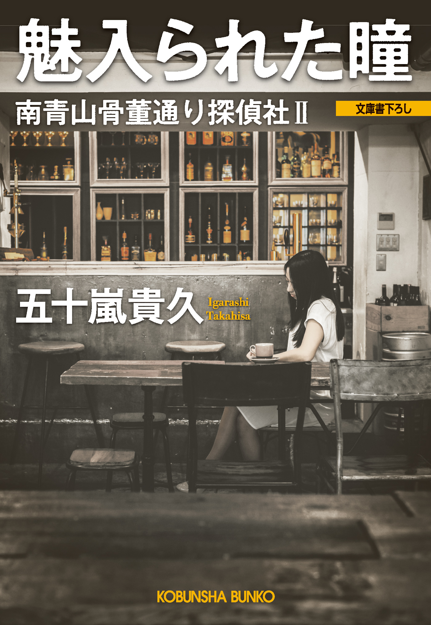 魅入られた瞳～南青山骨董通り探偵社II～