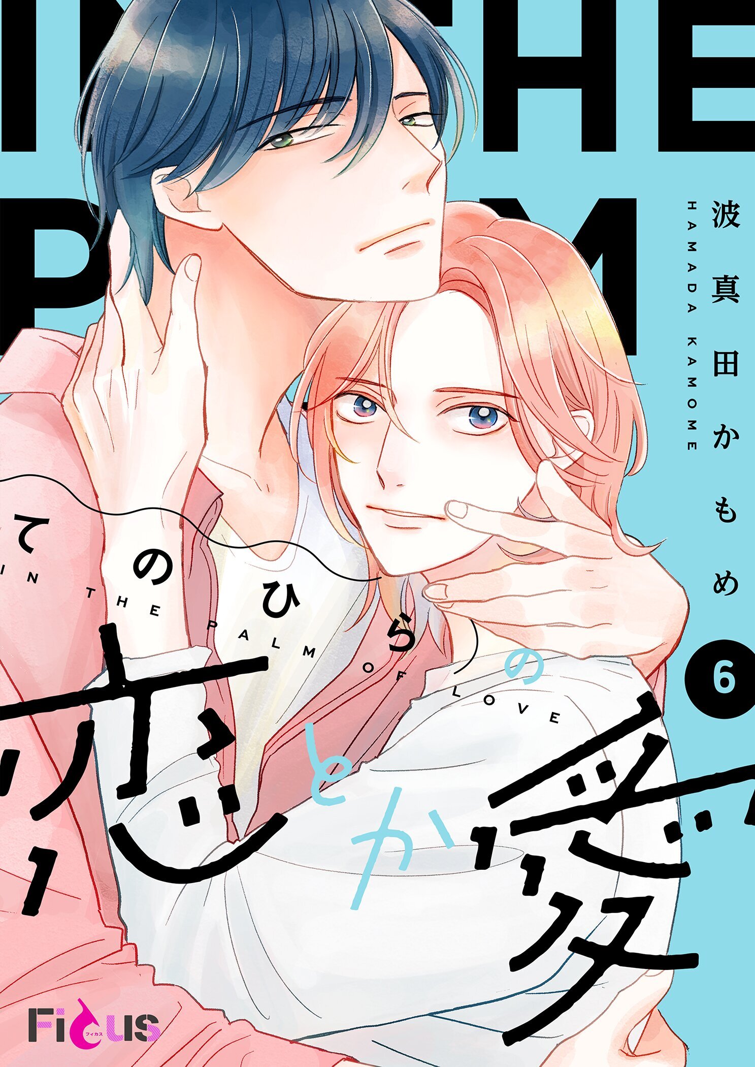 てのひらの恋とか愛 6