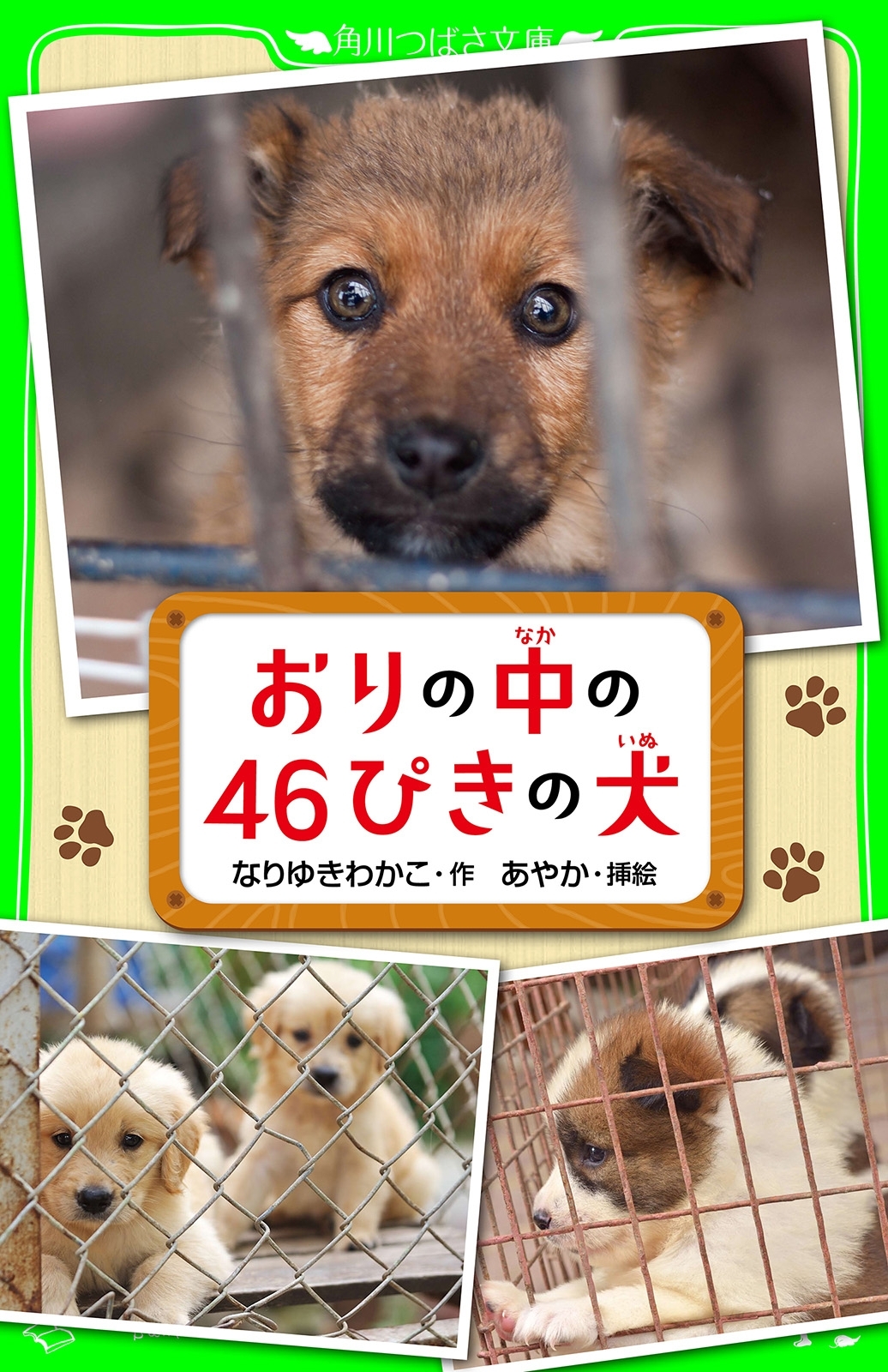 おりの中の４６ぴきの犬