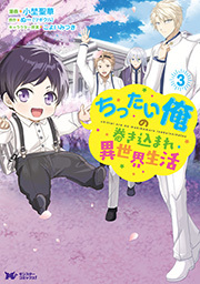 ちったい俺の巻き込まれ異世界生活(コミック) ： 3