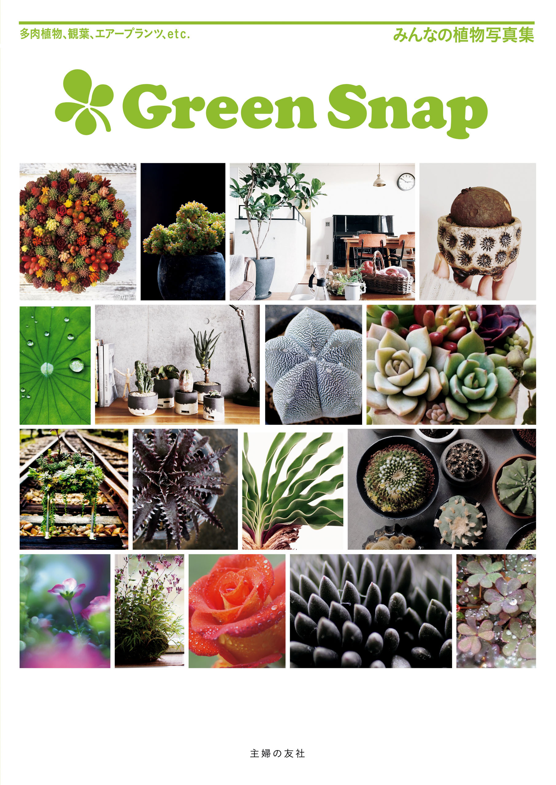 ＧｒｅｅｎＳｎａｐ