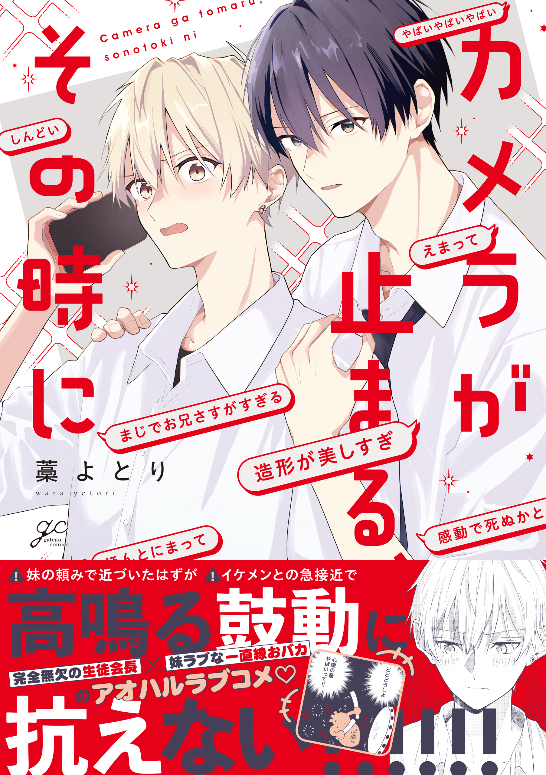 【期間限定　試し読み増量版】カメラが止まる、その時に【電子限定描き下ろし漫画付き】
