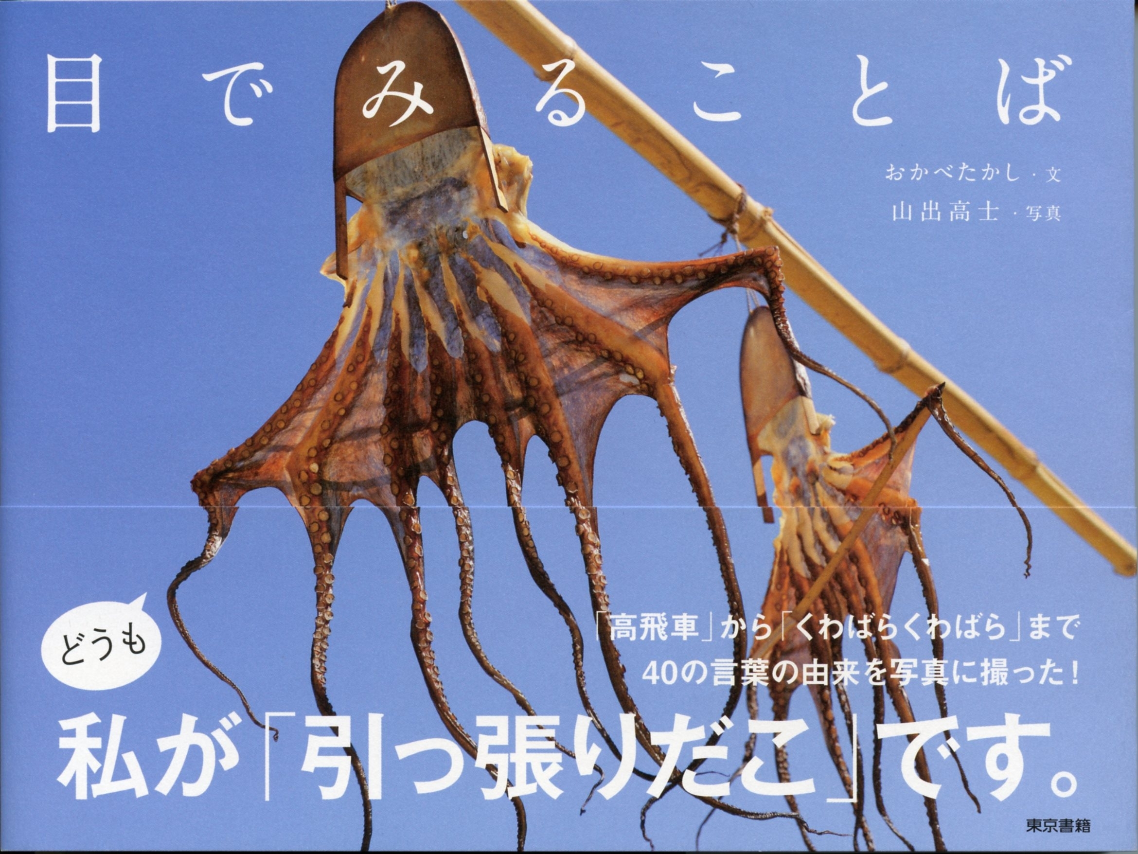 目でみることば