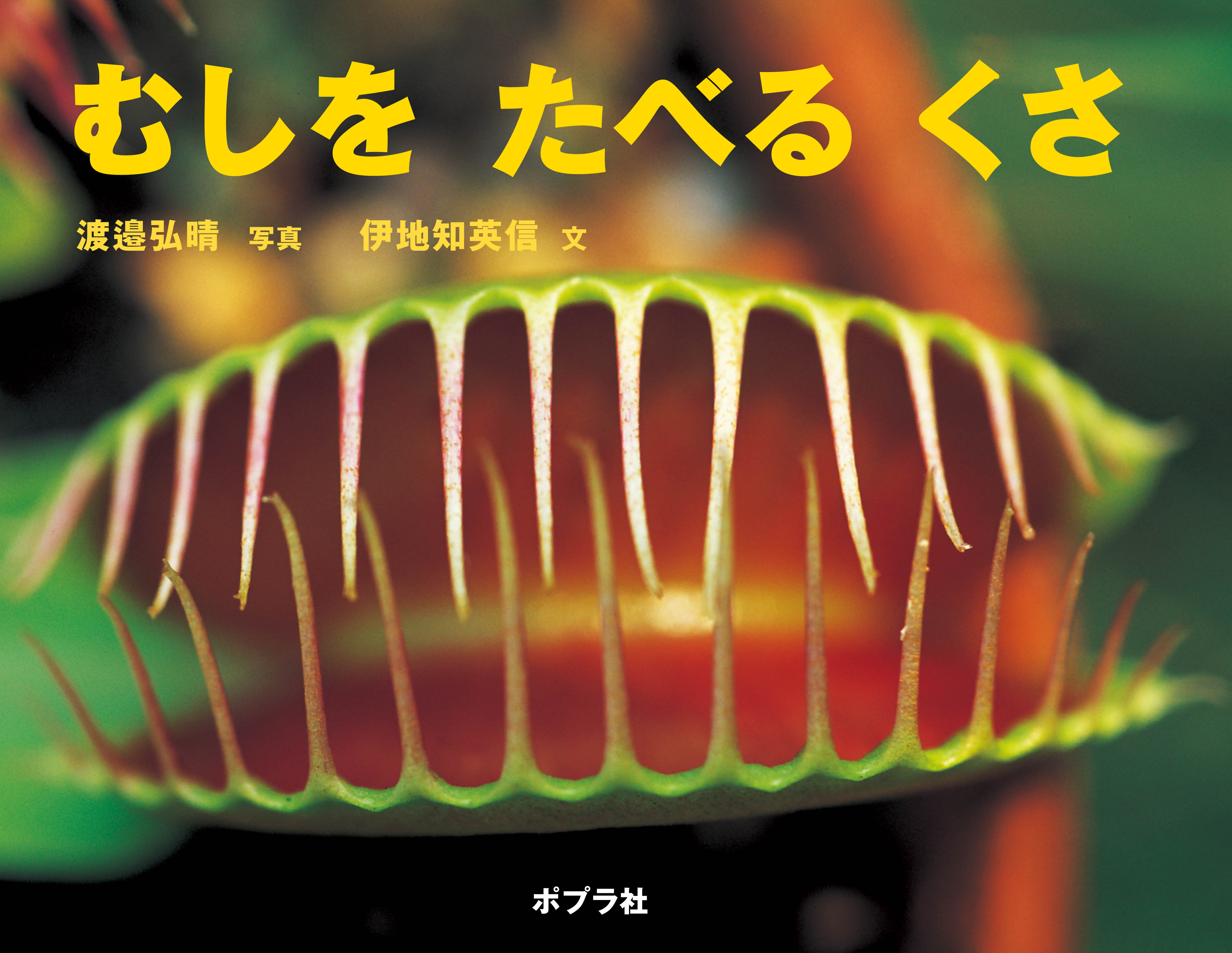 むしを　たべる　くさ