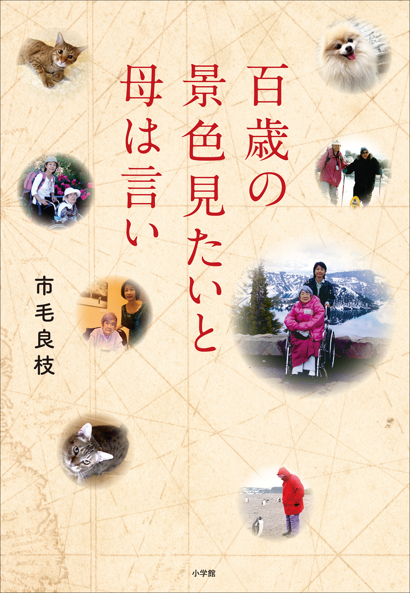 百歳の景色見たいと母は言い