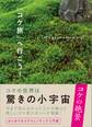 「コケ旅」へ行こう!