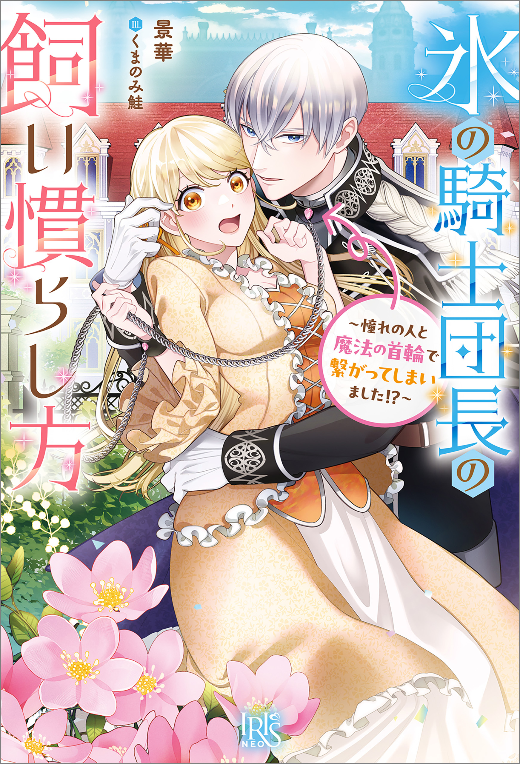 氷の騎士団長の飼い慣らし方～憧れの人と魔法の首輪で繋がってしまいました！？～【特典SS付】