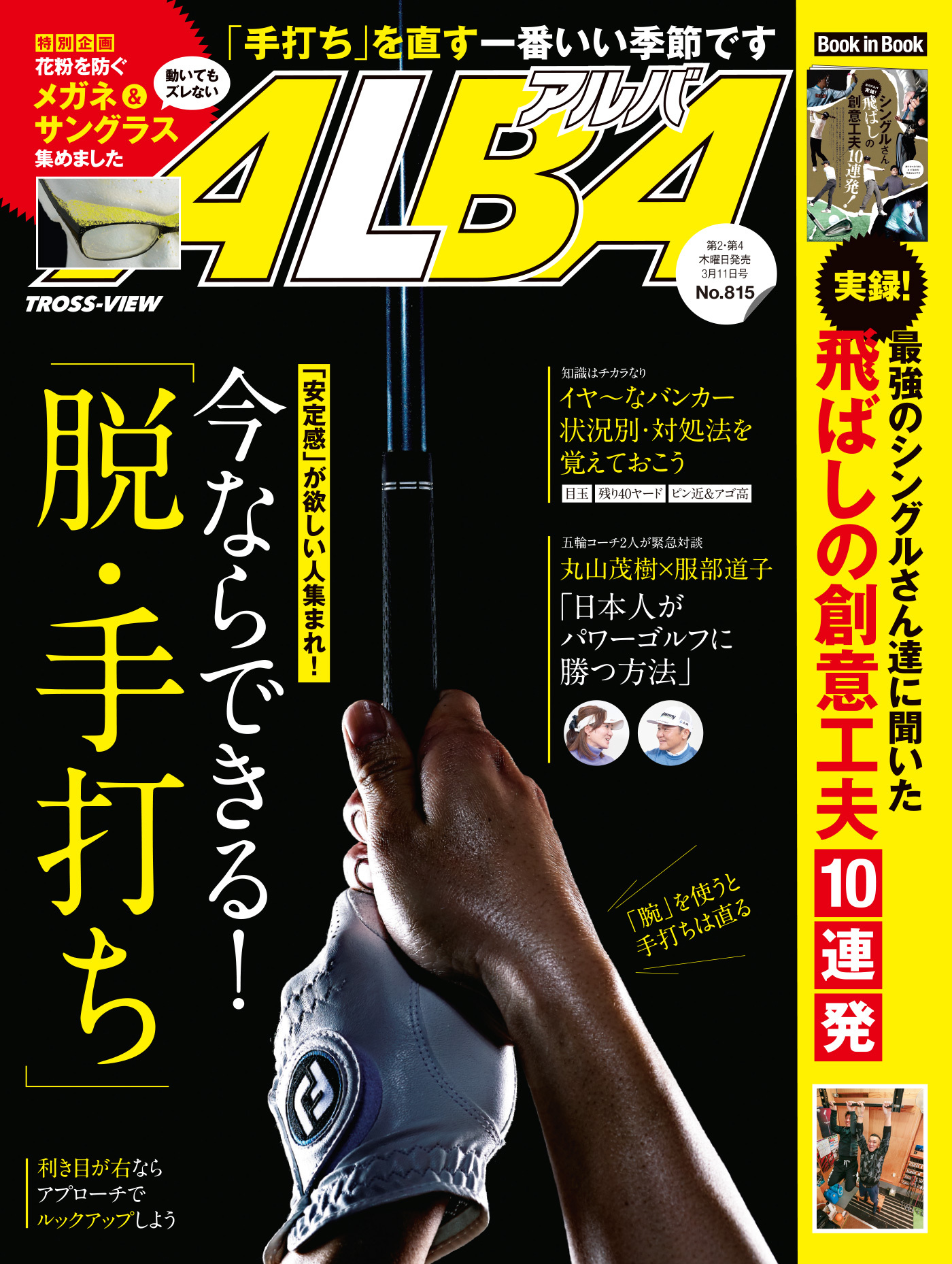 アルバトロス・ビュー　No.815