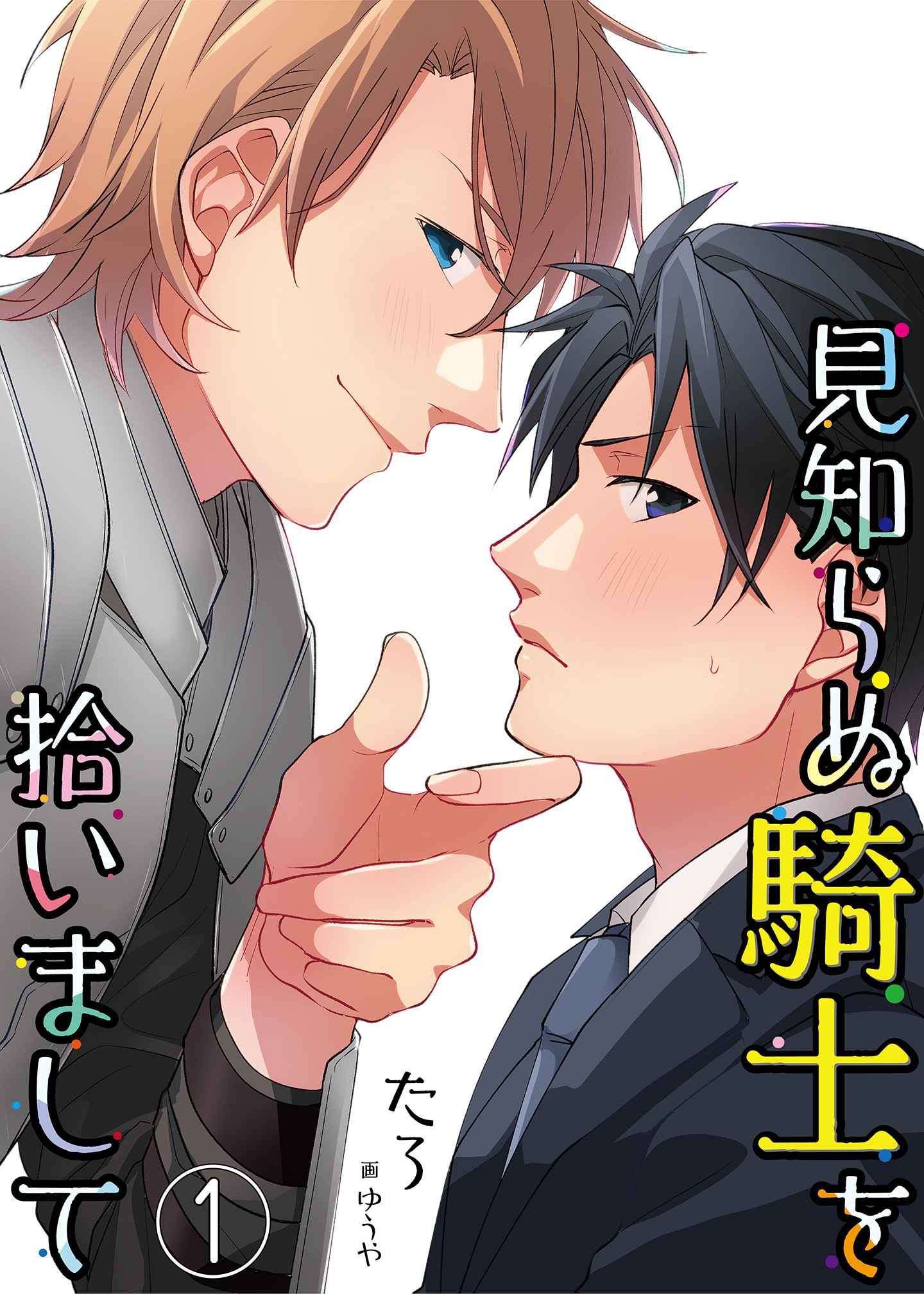 【合本版】見知らぬ騎士を拾いまして