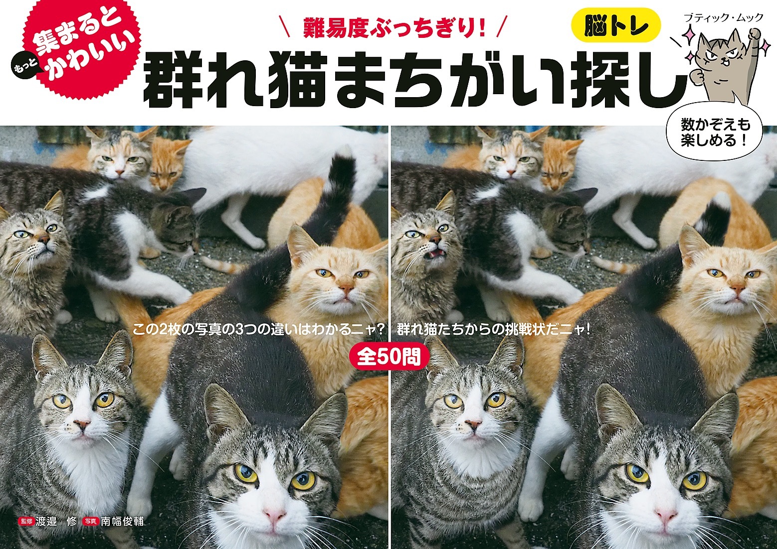 群れ猫まちがい探し