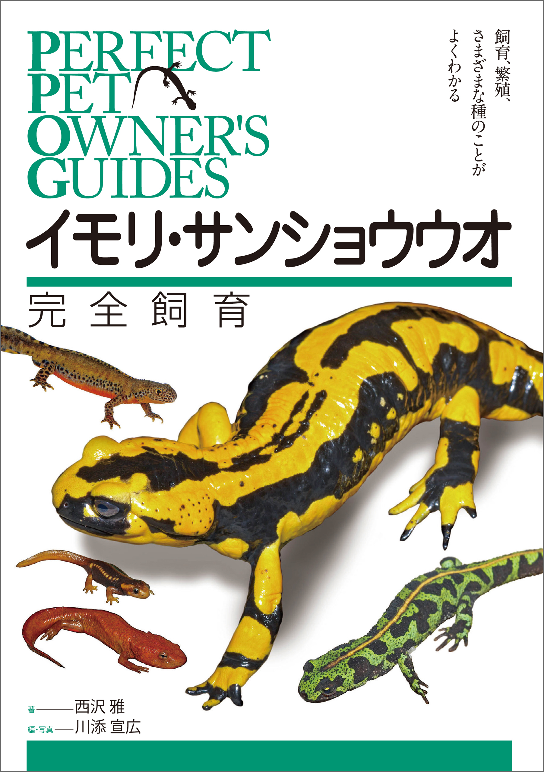 イモリ・サンショウウオ完全飼育
