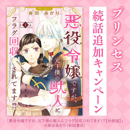 【AKITA電子祭り 冬の陣】プリンセス 続話追加キャンペーン