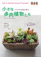 小さな多肉植物たち