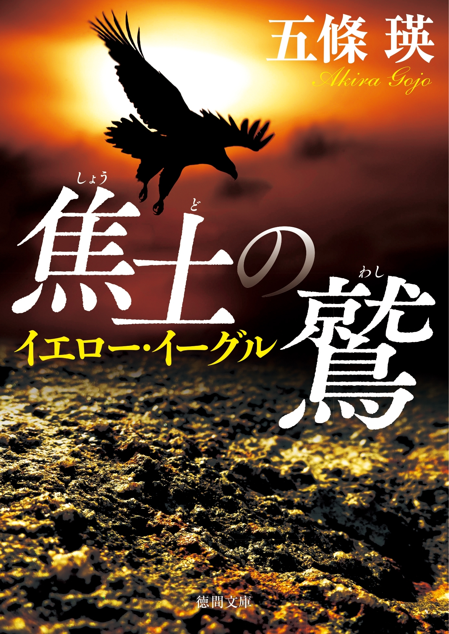 焦土の鷲　イエロー・イーグル