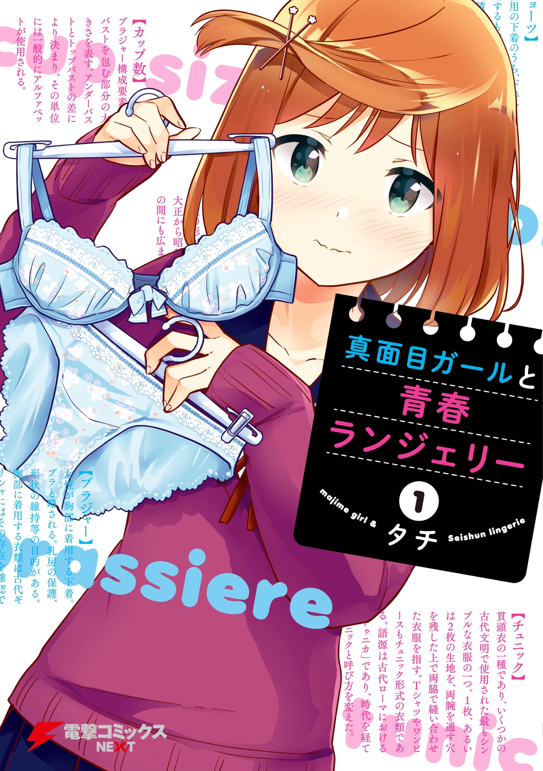 真面目ガールと青春ランジェリー 無料 試し読みなら Amebaマンガ 旧 読書のお時間です