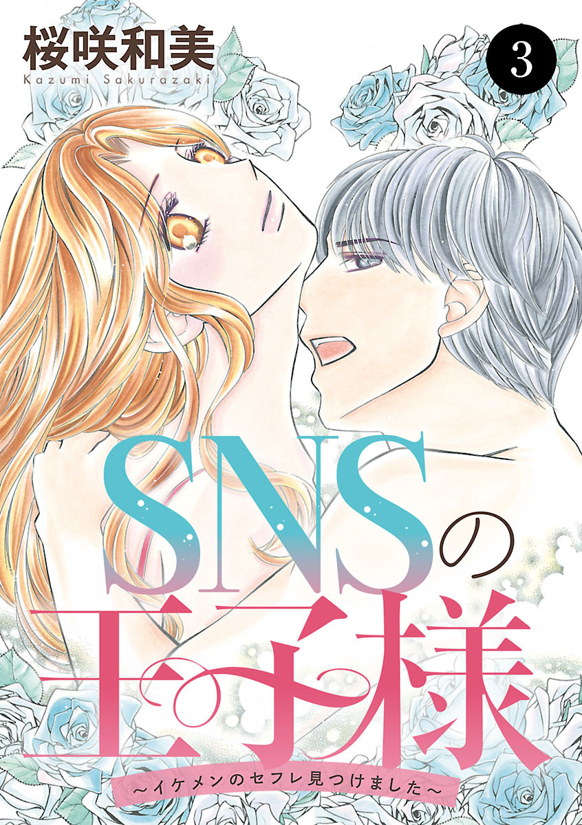 SNSの王子様～イケメンのセフレ見つけました～　3