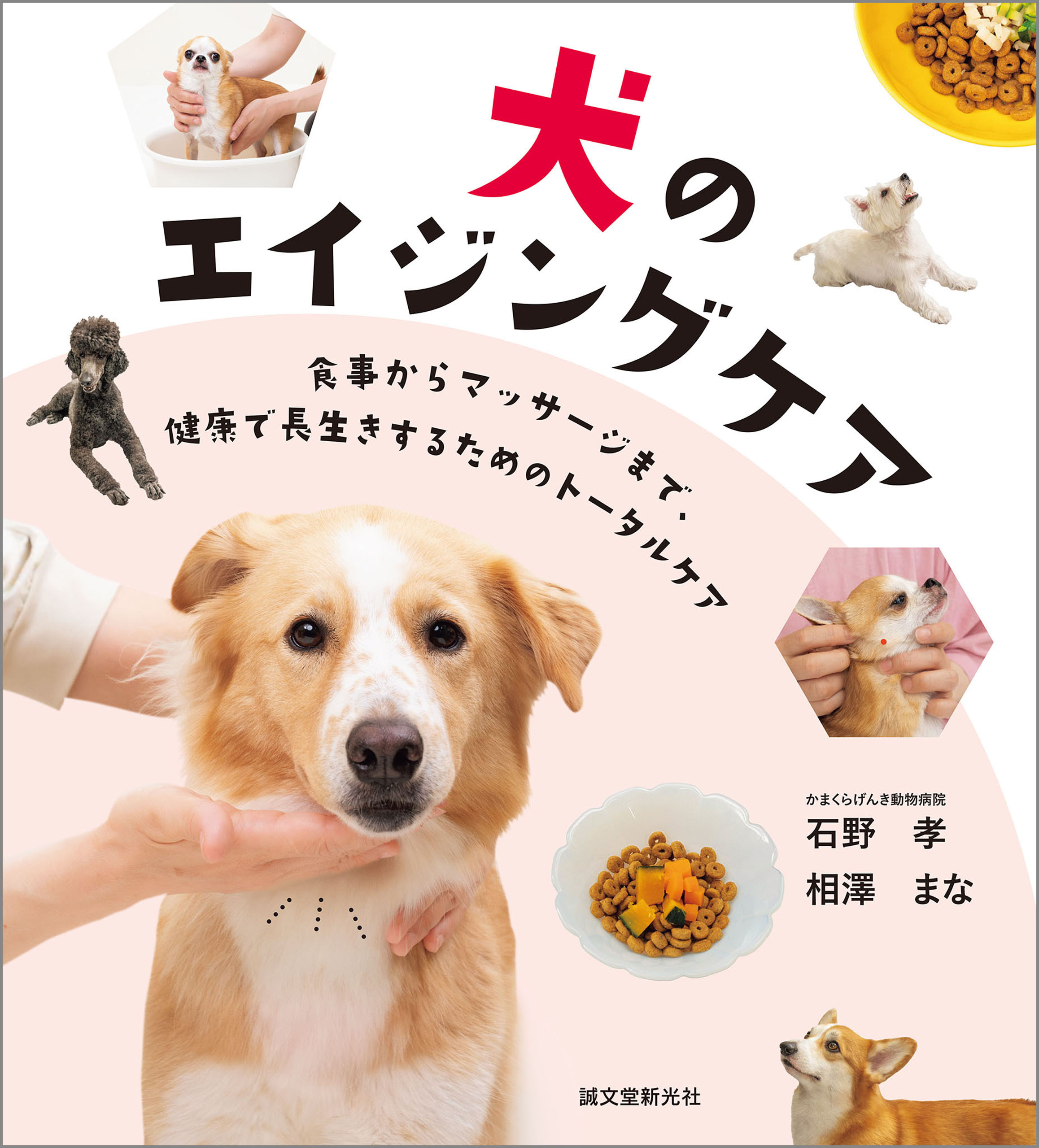 犬のエイジングケア