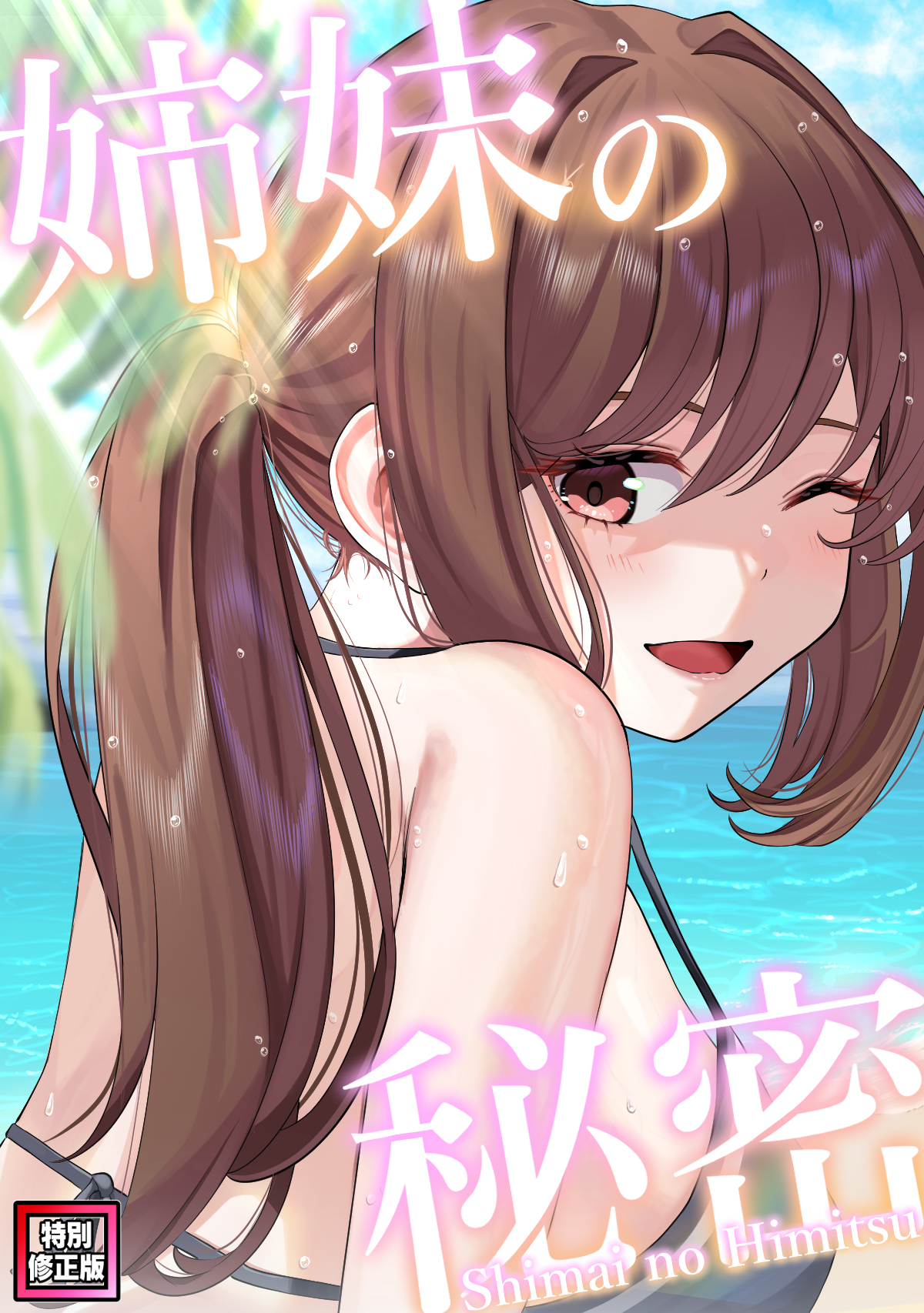 姉妹の秘密【特別修正版】(2)