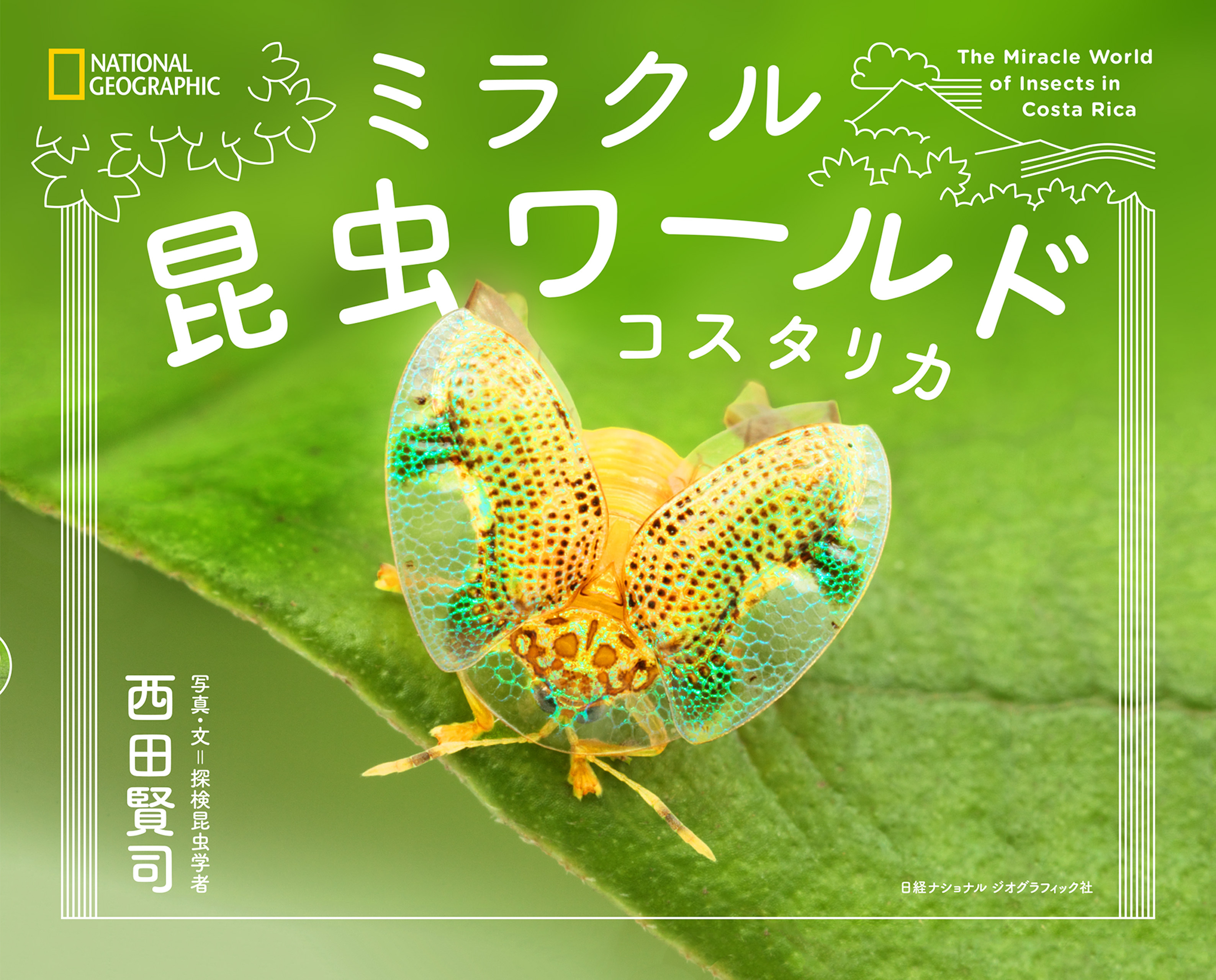 ミラクル昆虫ワールド　コスタリカ