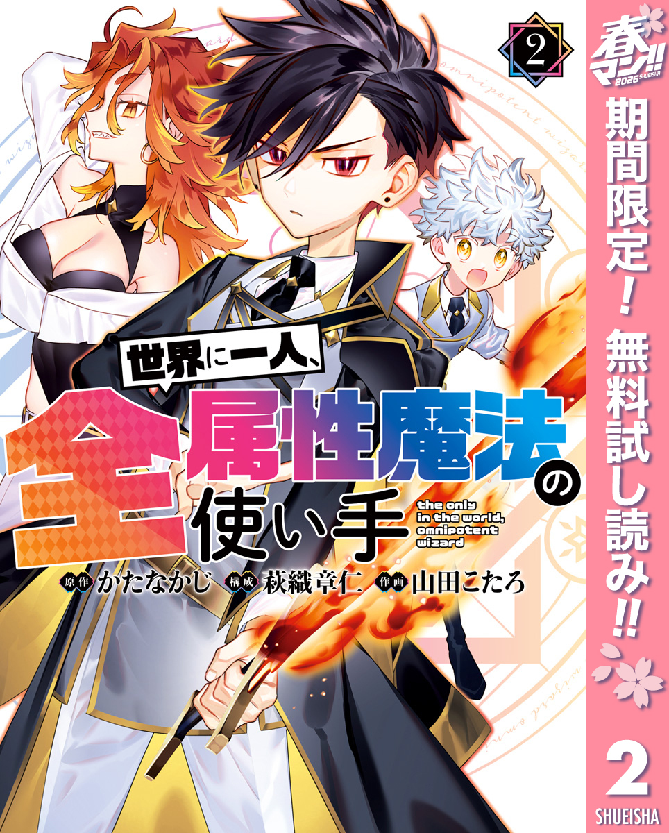 世界に一人、全属性魔法の使い手【期間限定無料】 2